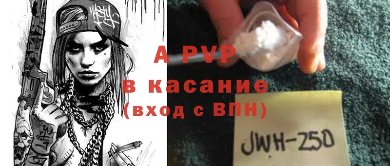 A PVP СК КРИС  Бежецк 