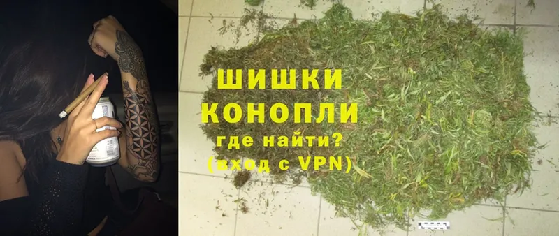 Бошки марихуана Amnesia  Бежецк 